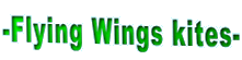 -Flying Wings kites-
